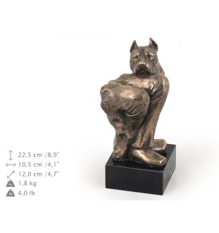 Amerykański Staffordshire terrier głowa na kamieniu Art-Dog